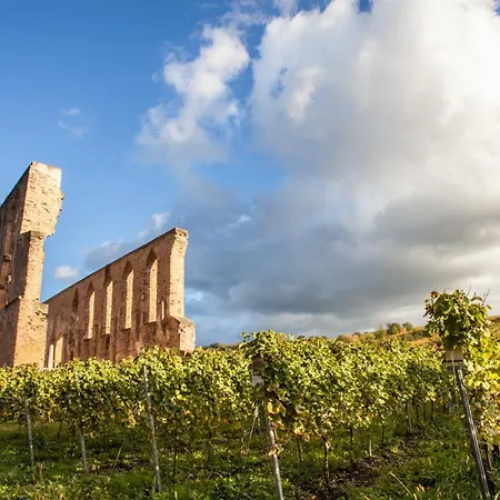 Ferienhaus-am-alten-stadttor אדיגר-אלר