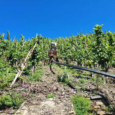 Ferienhaus-am-alten-stadttor