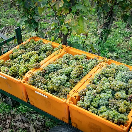 Ferienhaus-am-alten-stadttor * Ediger-Eller