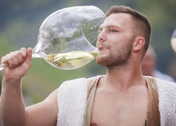 Casa de Férias Ferienhaus-am-alten-stadttor *