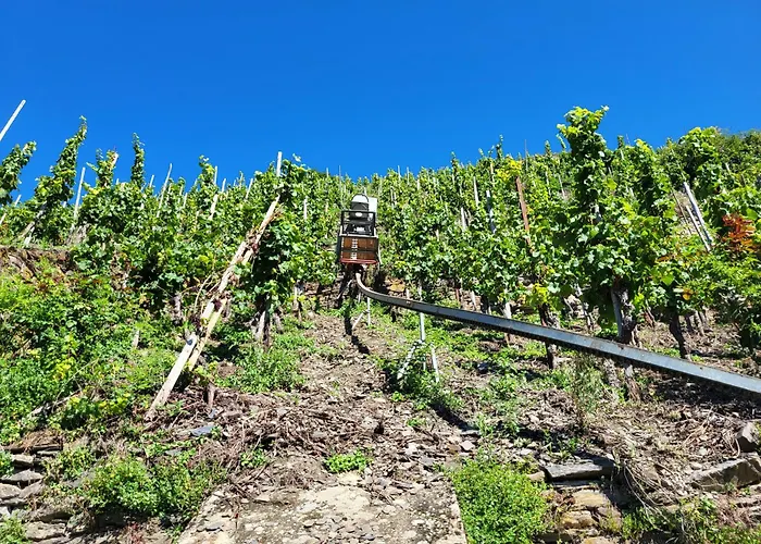 Ferienhaus-am-alten-stadttor